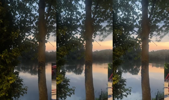 cartedevie's Stream - Jul 14, 2026, 3:35 AM