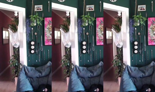 catgirl_kiko's Stream - Jul 9, 2026, 12:20 PM