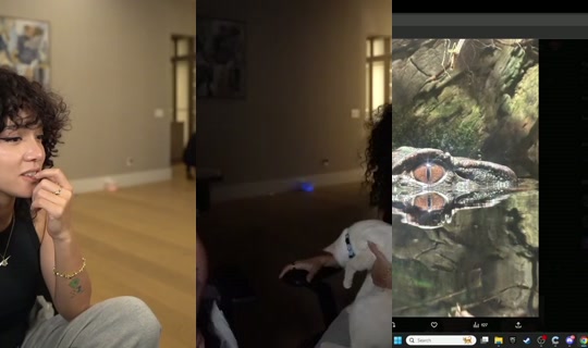 cinna's Stream - Aug 9, 2026, 7:27 AM