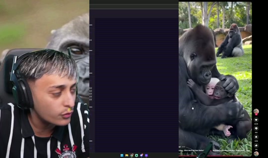 dona's Stream - Aug 6, 2026, 10:17 PM