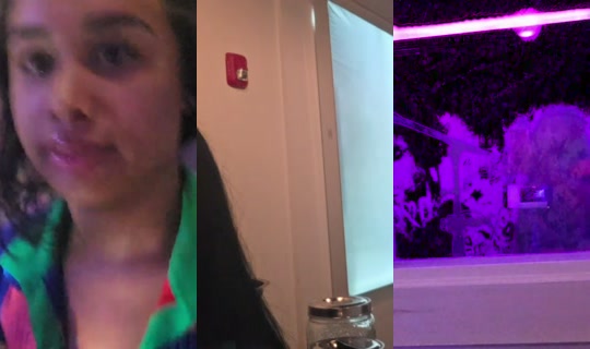 dreamdoll's Stream - Jul 28, 2026, 2:41 AM