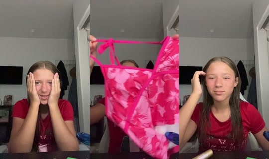 elehanie's Stream - Jul 7, 2026, 12:04 AM