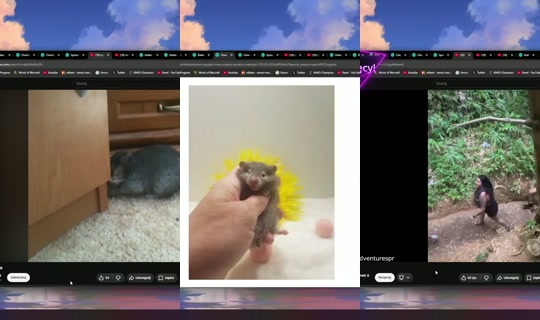 ewroon's Stream - Jul 25, 2026, 6:21 PM