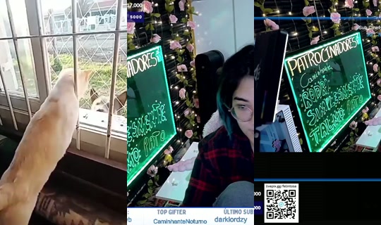 felintosa's Stream - Jul 27, 2026, 10:53 PM