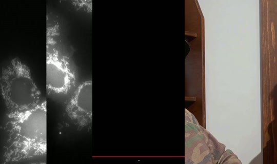 femimarss's Stream - Jul 26, 2026, 8:57 PM