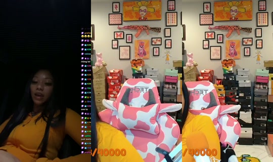 flemgodthegreat's Stream - Aug 9, 2026, 5:27 AM