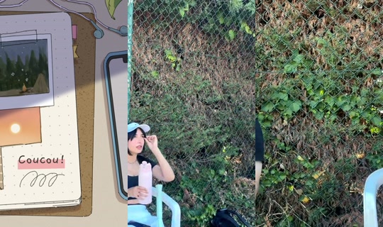 hawnie's Stream - Aug 6, 2026, 4:01 PM