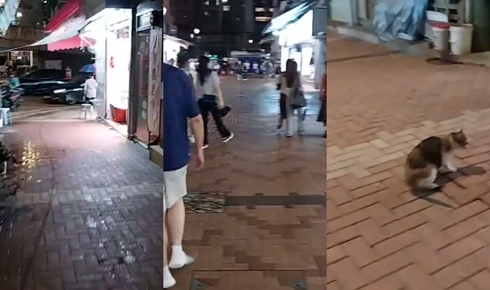 ilovedoki's Stream - Jul 27, 2026, 1:51 PM