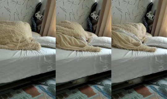 juliebayy's Stream - Jul 21, 2026, 5:08 AM
