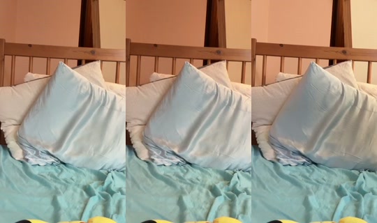 kaellyn's Stream - Sep 17, 2026, 5:07 PM