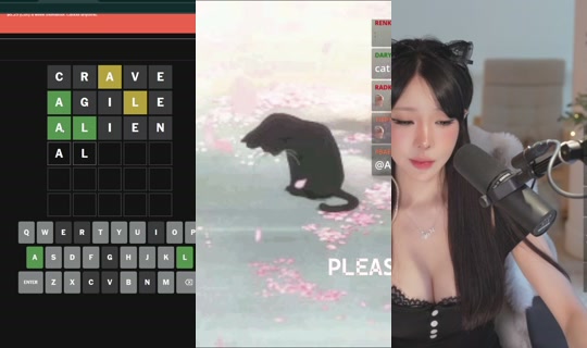 kaise's Stream - Jul 26, 2026, 3:03 AM