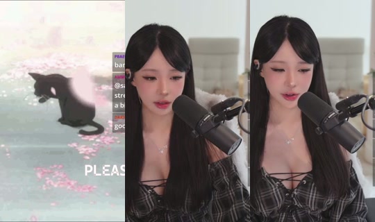 kaise's Stream - Jul 27, 2026, 1:17 AM