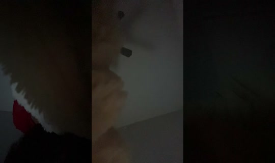 kalebconwells's Stream - Oct 28, 2026, 8:57 AM