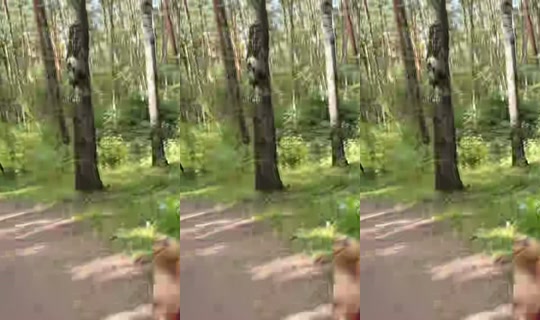 kartellika's Stream - Aug 23, 2026, 12:25 PM