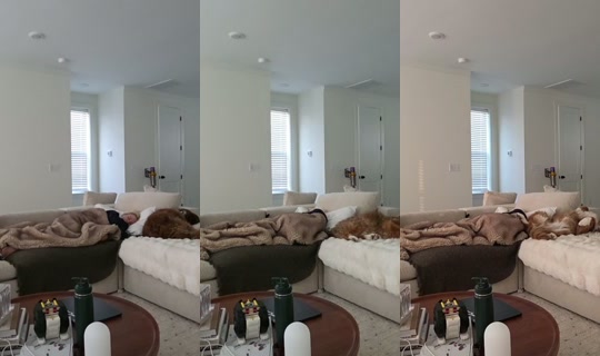 kattpaccino's Stream - Jul 29, 2026, 11:33 AM