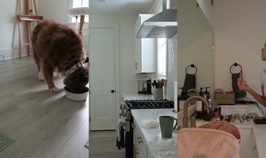 kattpaccino's Stream - Jul 29, 2026, 1:14 PM