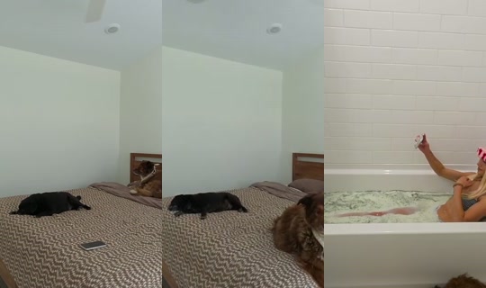 kattpaccino's Stream - Jul 29, 2026, 6:18 PM
