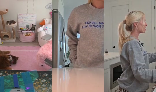 kattpaccino's Stream - Oct 8, 2026, 8:32 PM