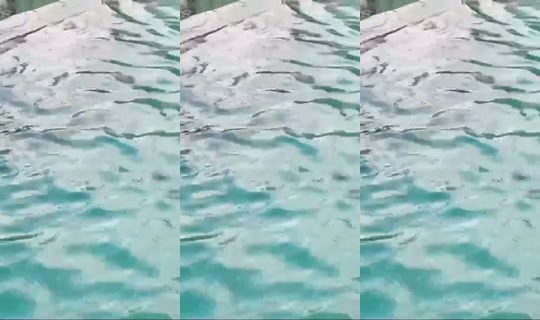 kdancettv's Stream - Sep 1, 2026, 9:37 AM