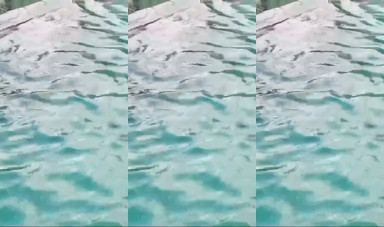 kdancettv's Stream - Sep 1, 2026, 11:18 AM