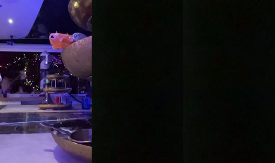 laurianesiegwald's Stream - Aug 10, 2026, 4:06 AM