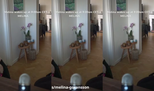 melina's Stream - Sep 1, 2026, 8:02 AM