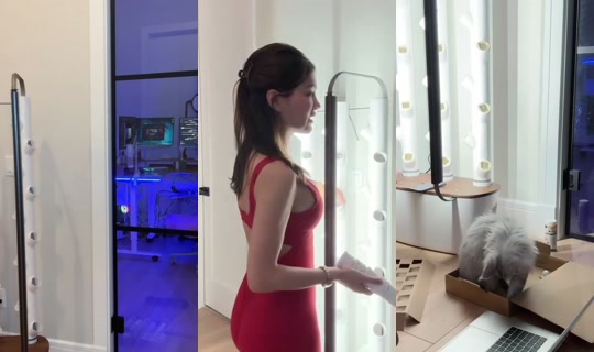 mira 的直播 - 2026年8月5日 6:39