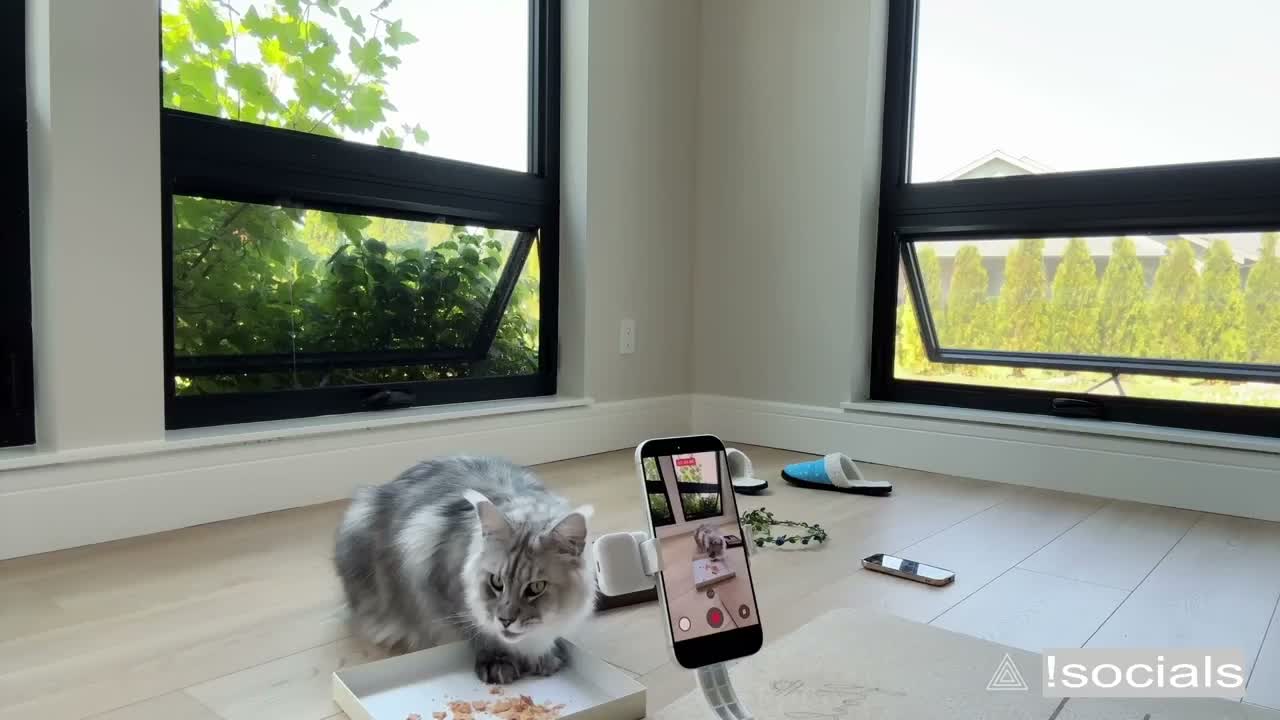 mira