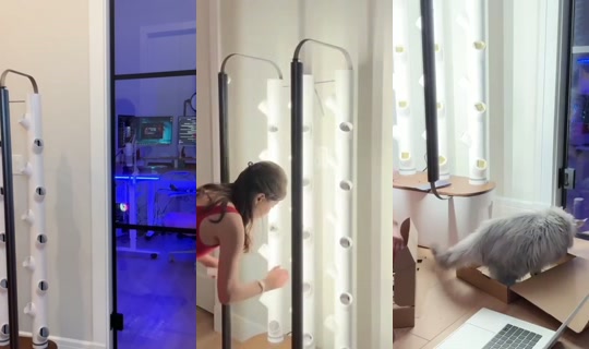 mira_irl Yayını - 24 Ağu 2026 18:14