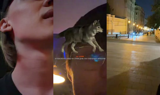 misolo3's Stream - Jul 27, 2026, 9:25 PM