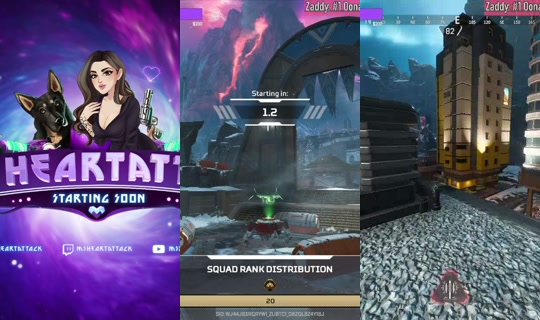 msheartattack's Stream - Aug 6, 2026, 11:10 PM