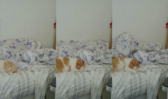 notlisanna's Stream - Aug 23, 2026, 10:43 AM