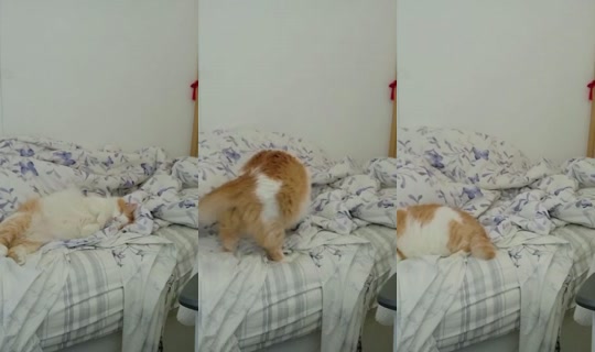 notlisanna's Stream - Aug 23, 2026, 1:15 PM