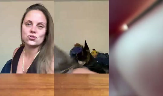 og_ruskeeamericana's Stream - Aug 9, 2026, 2:08 AM