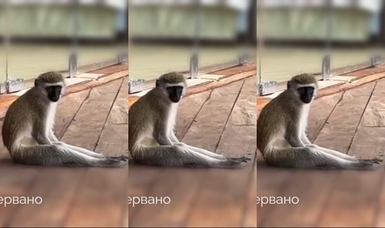 olesyabulletka's Stream - Sep 16, 2026, 11:25 AM