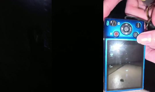 primatepaige's Stream - Oct 16, 2026, 12:34 AM