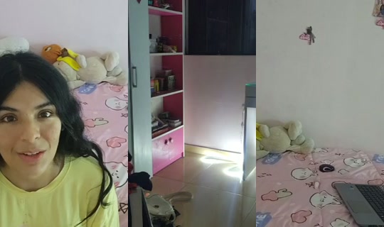 purepinkie's Stream - Aug 31, 2026, 12:21 AM