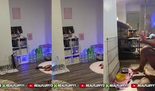 Stream von realfluffy1 – 24. Aug. 2026, 1:35