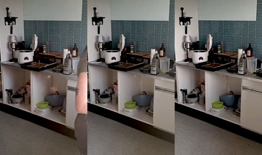 saltylaura's Stream - Jul 26, 2026, 5:19 PM