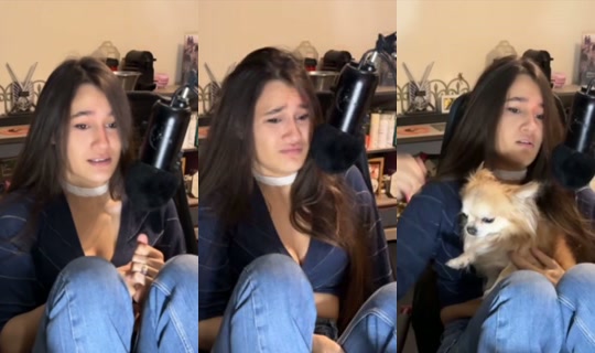 saori_honjo's Stream - Oct 22, 2026, 5:56 AM