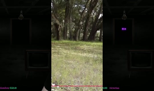 scymia's Stream - Jul 26, 2026, 8:37 PM