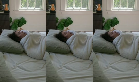seigyokugirl's Stream - Aug 30, 2026, 4:05 PM
