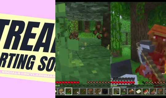 skylarnmartin's Stream - Aug 18, 2026, 4:02 PM