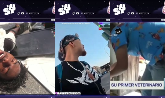 staryuuki's Stream - Aug 10, 2026, 2:19 AM