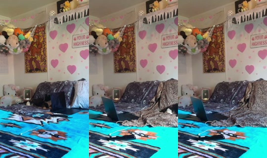 sweet_shyt's Stream - Sep 11, 2026, 7:39 PM
