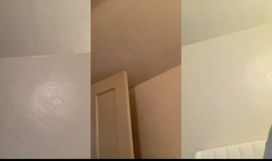 trishacottrelll's Stream - Oct 17, 2026, 2:28 AM