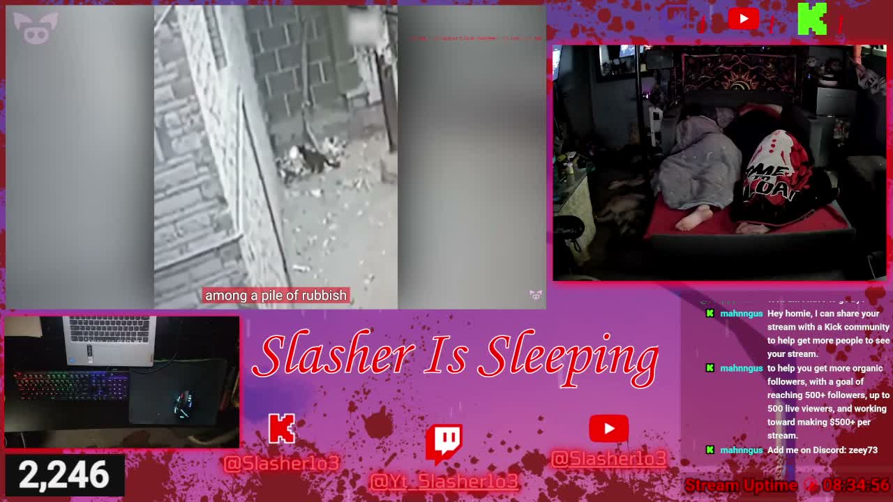 yt_slasher1o3