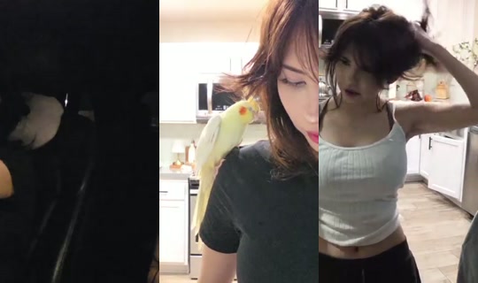 yukiifoxs's Stream - Jul 27, 2026, 6:40 AM