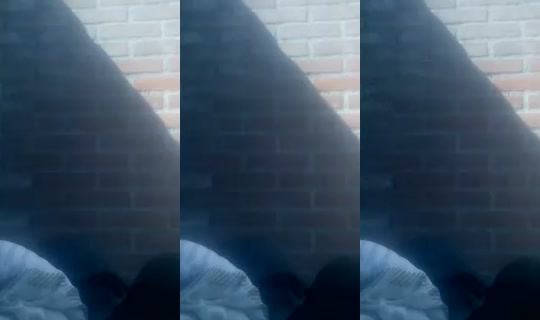 Aap123's Stream - Aug 9, 2026, 10:33 AM
