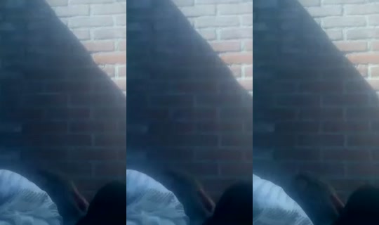 Aap123's Stream - Aug 9, 2026, 10:52 AM